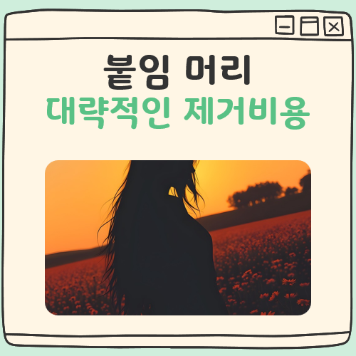 붙임머리 제거 비용 대표 이미지