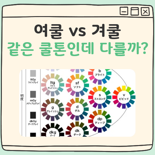 여쿨 겨쿨 차이 대표 이미지