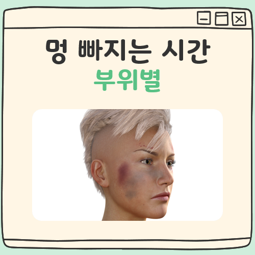 멍 빠지는 시간 및 부위별 대표 이미지