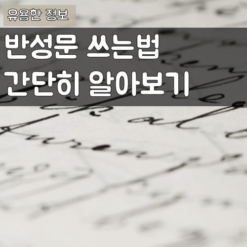 반성문 쓰는법 대표 이미지