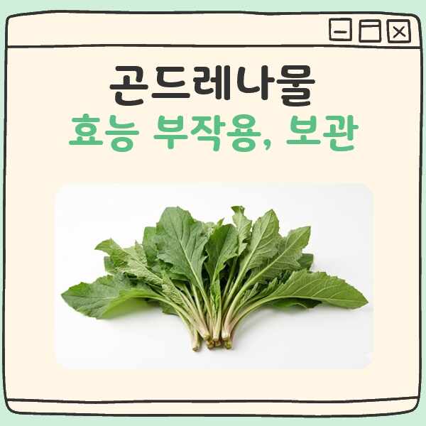 곤드레나물 효능과 부작용, 보관까지 알차게 대표 이미지