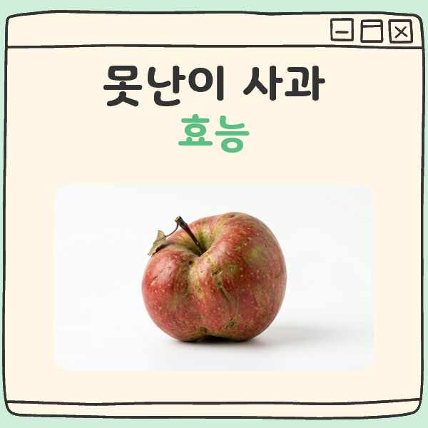 못난이 사과 효능 대표 이미지